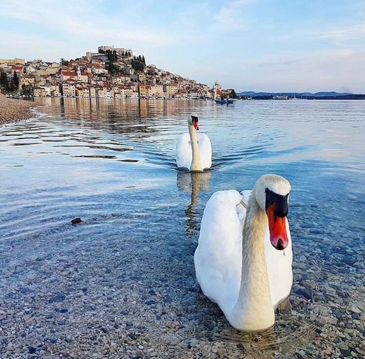 Sibenik Antique Studio Apartment - Old Town Ngoại thất bức ảnh